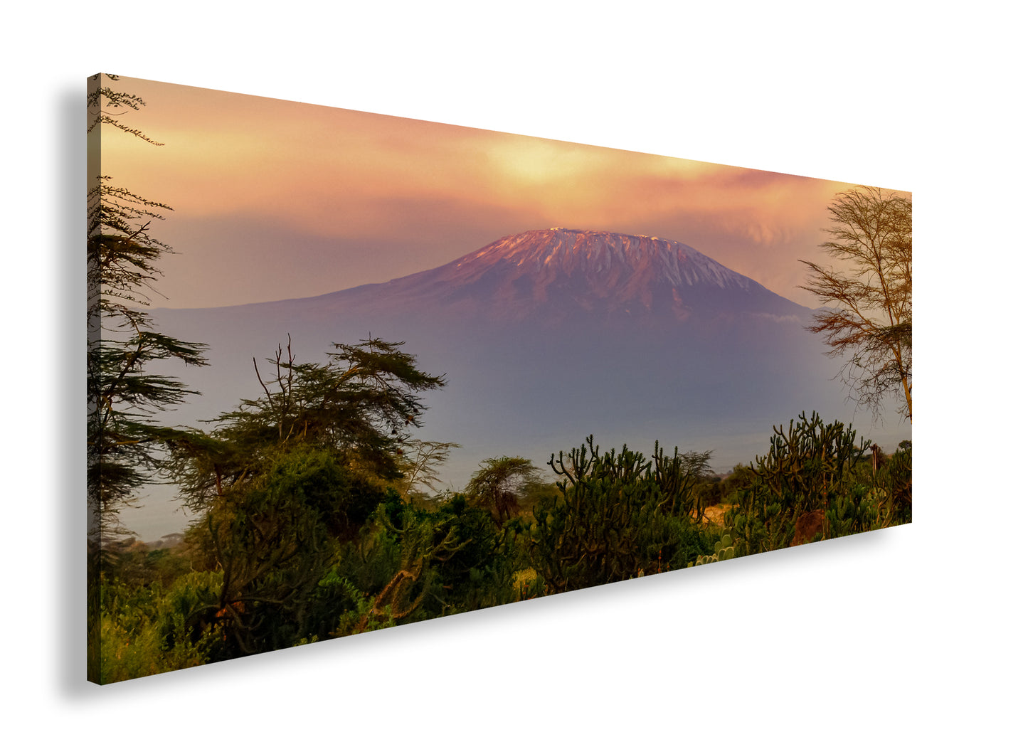 Hauptbild Farbig Panorama