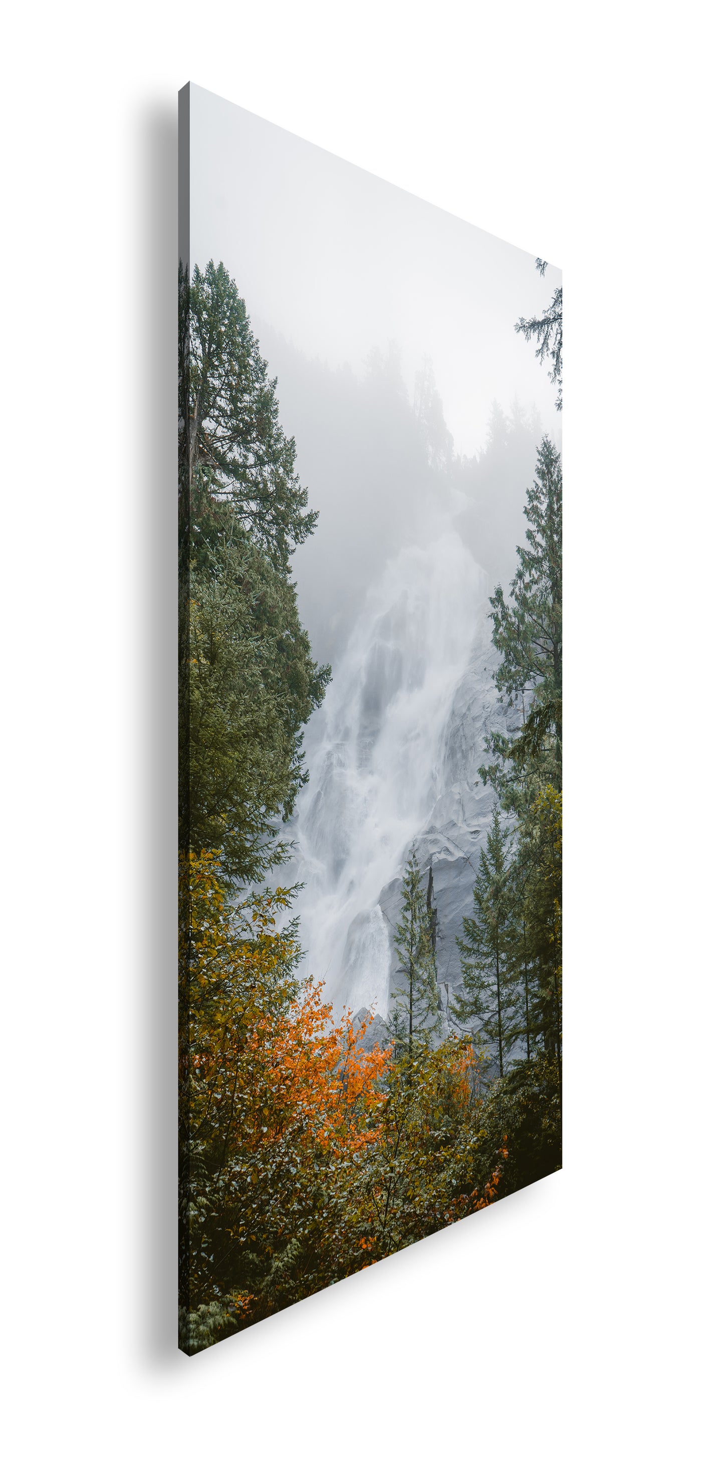 Hauptbild Farbig Panorama