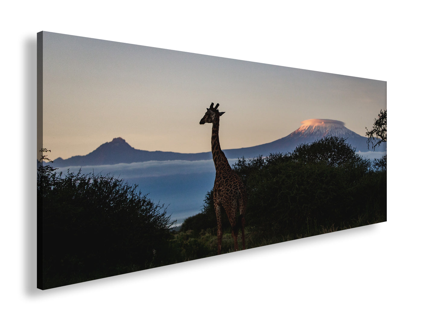 Hauptbild Farbig Panorama