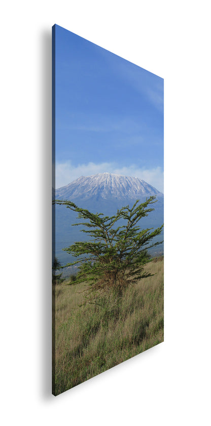 Hauptbild Farbig Panorama