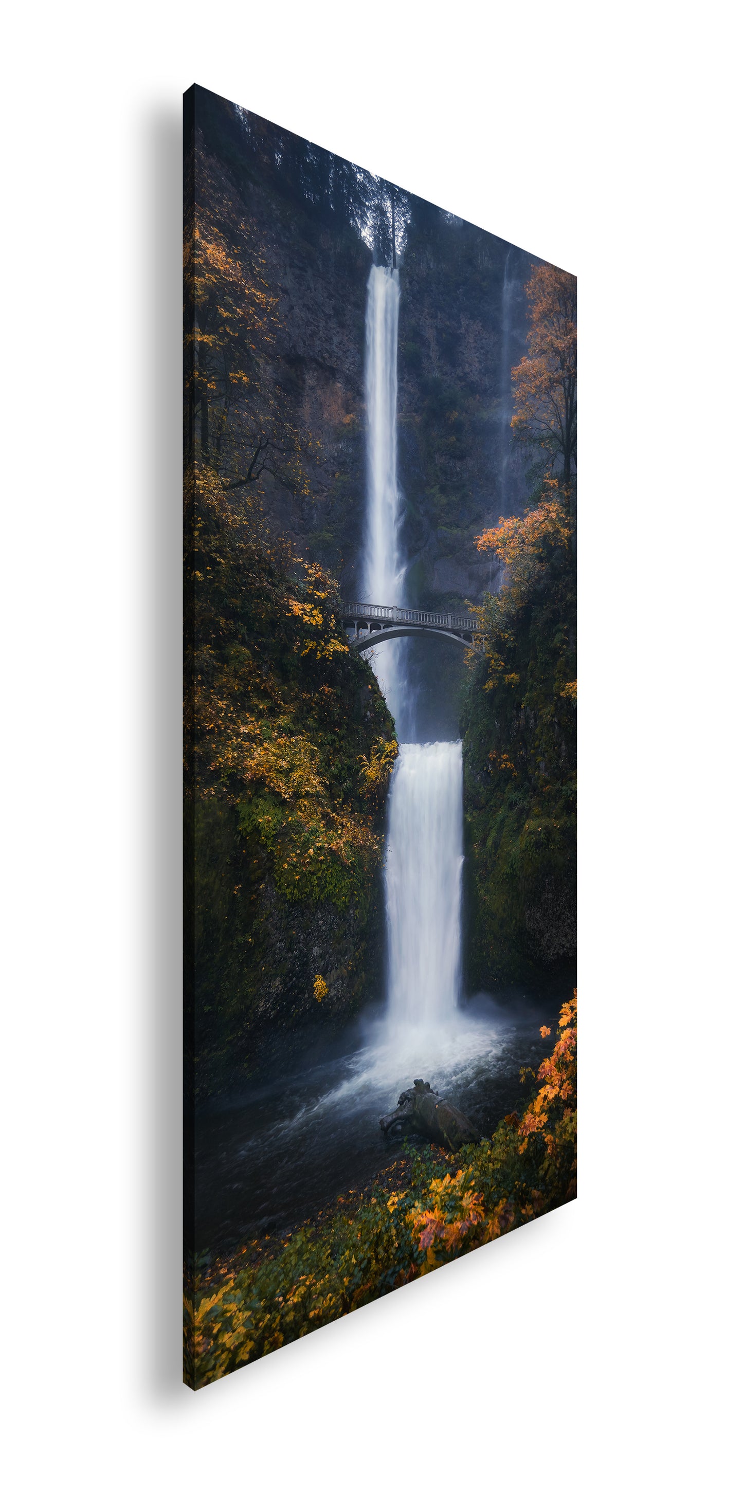 Hauptbild Farbig Panorama