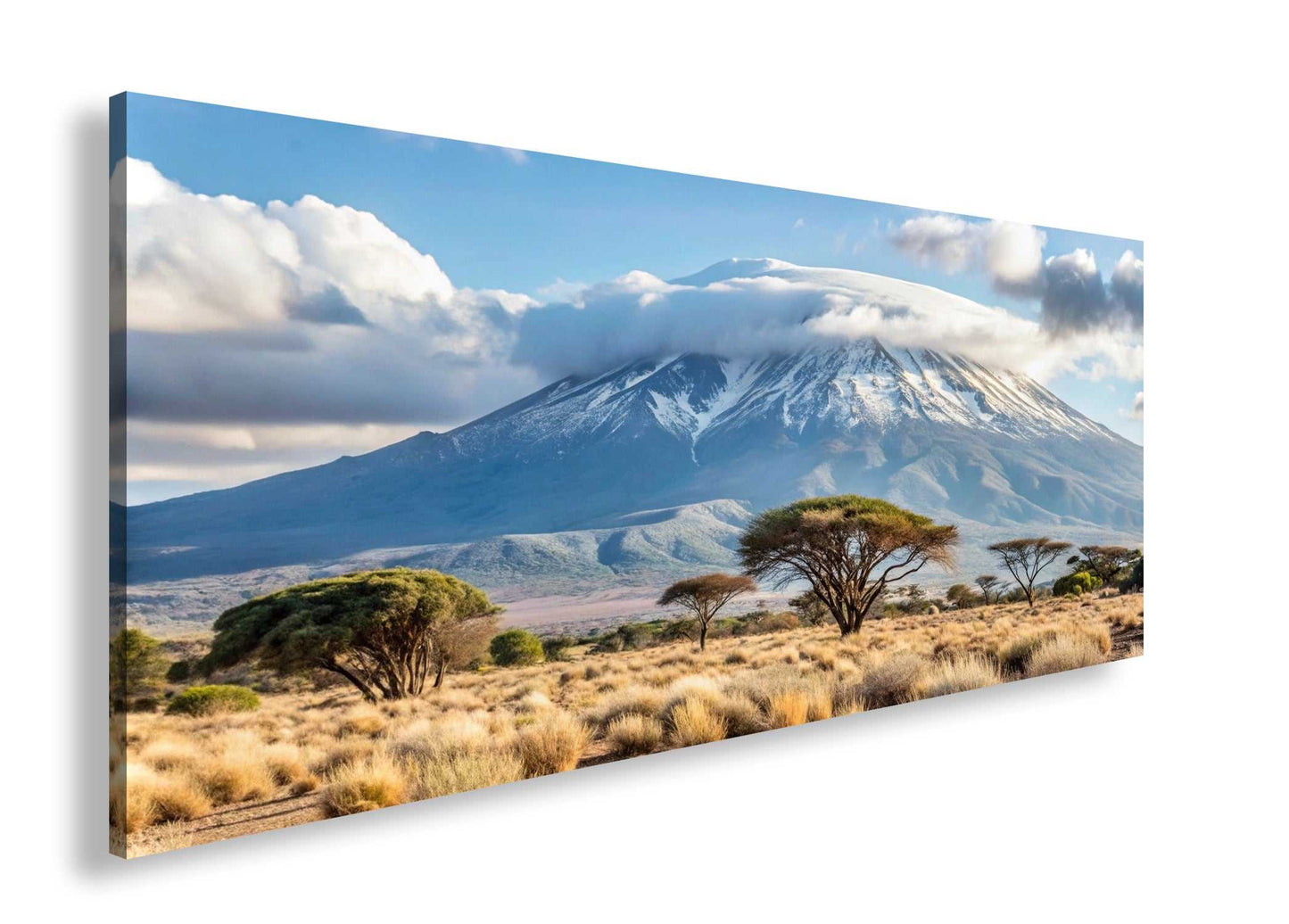 Hauptbild Farbig Panorama