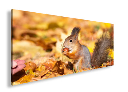 Hauptbild Farbig Panorama