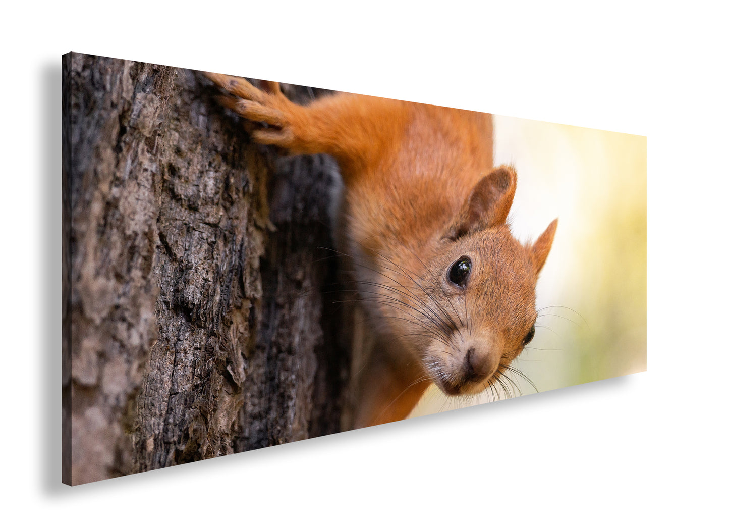 Hauptbild Farbig Panorama