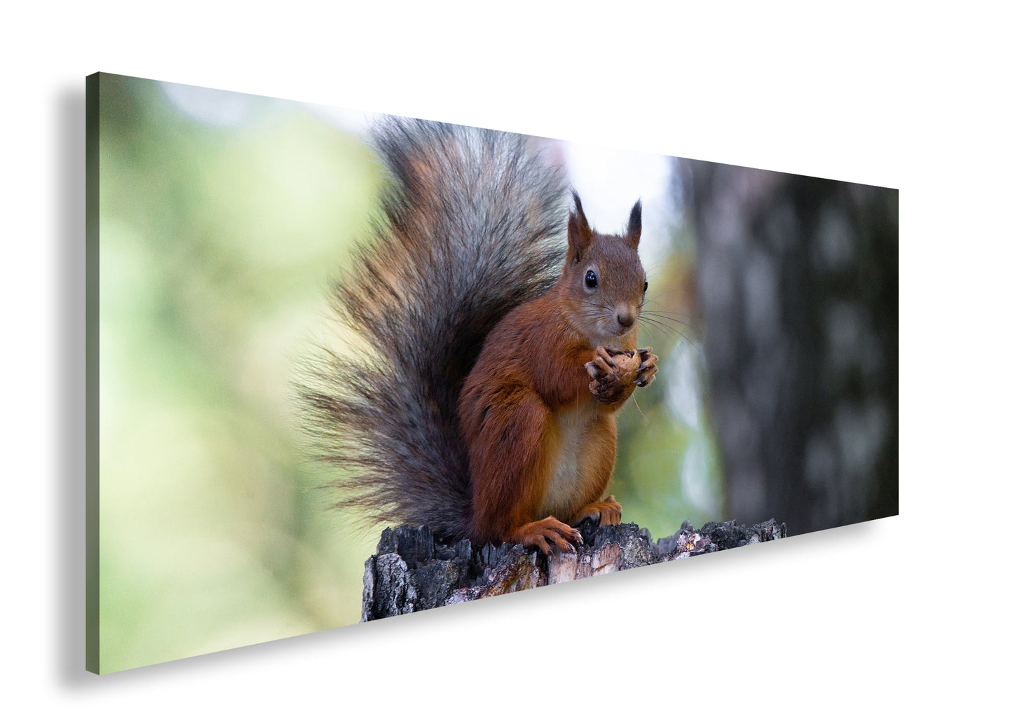 Hauptbild Farbig Panorama