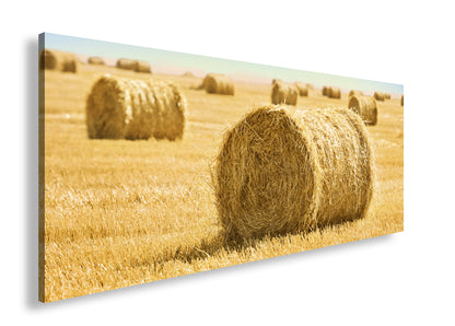 Hauptbild Farbig Panorama