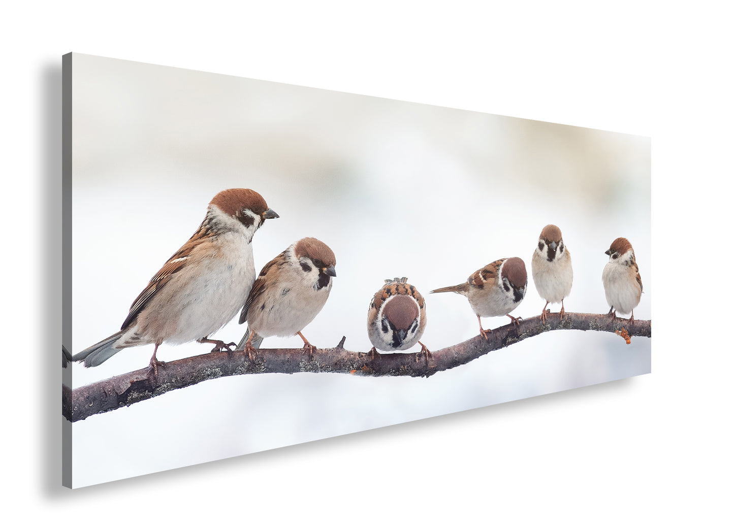 Hauptbild Farbig Panorama