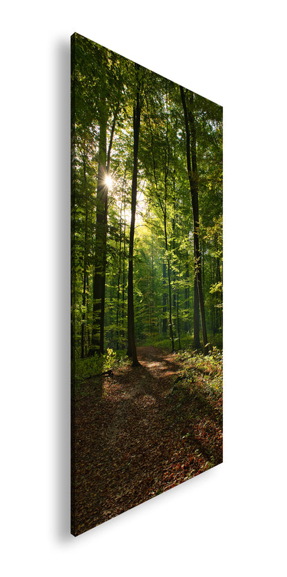 Hauptbild Farbig Panorama