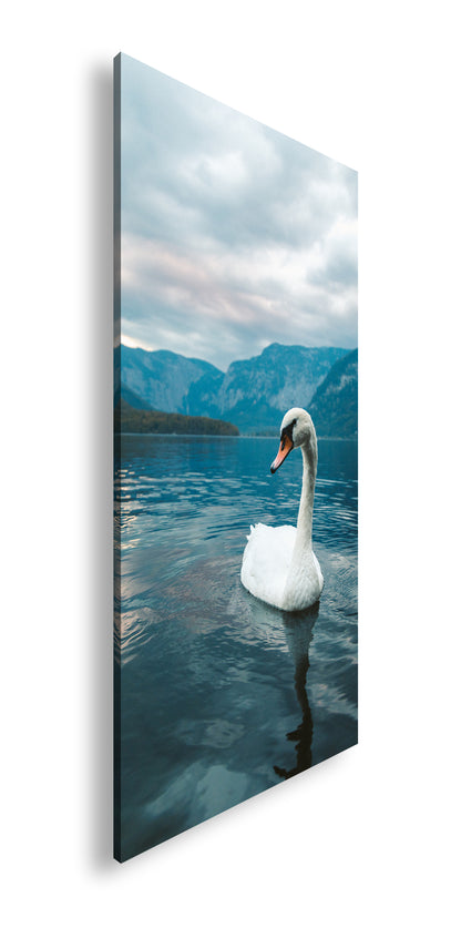 Hauptbild Farbig Panorama