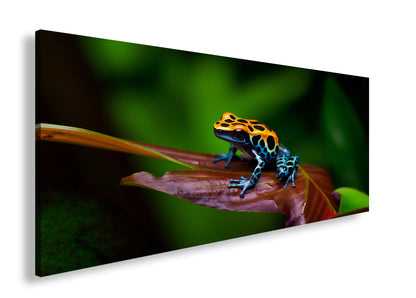 Hauptbild Farbig Panorama