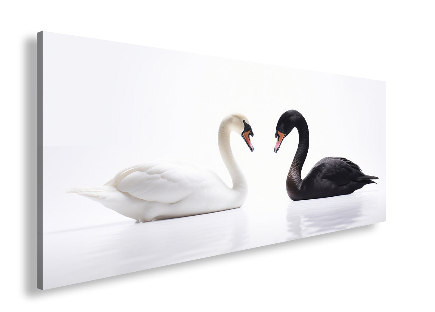 Hauptbild Farbig Panorama