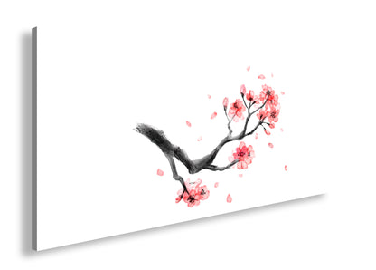 Hauptbild Farbig Panorama