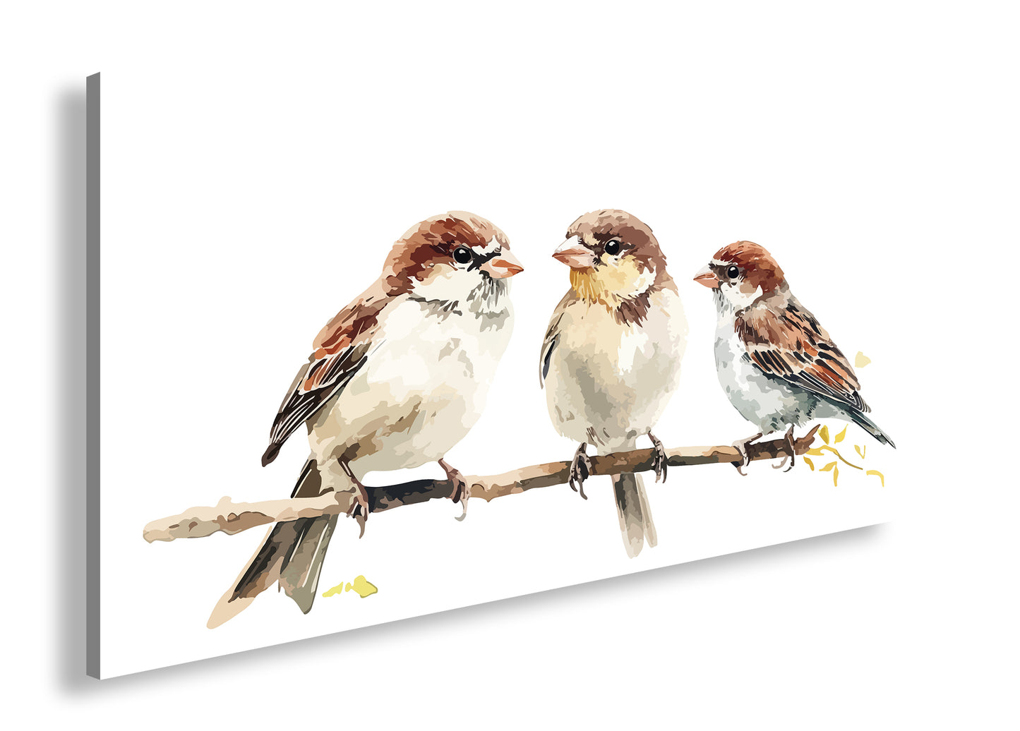 Hauptbild Farbig Panorama