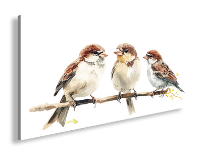 Hauptbild Farbig Panorama