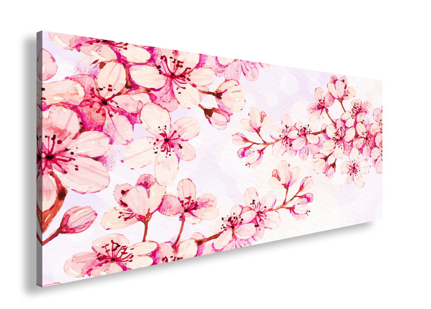 Hauptbild Farbig Panorama