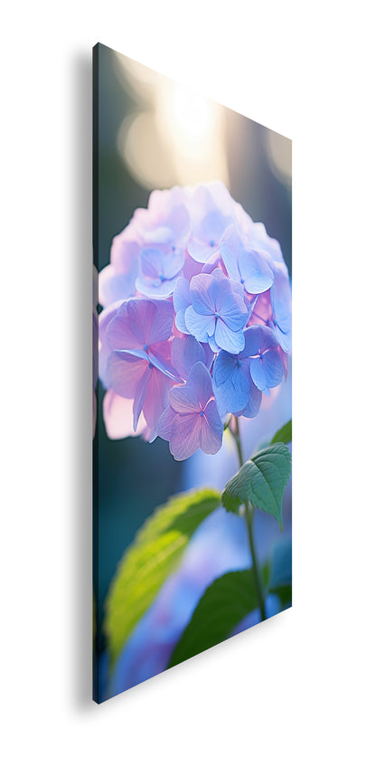 Hauptbild Farbig Panorama