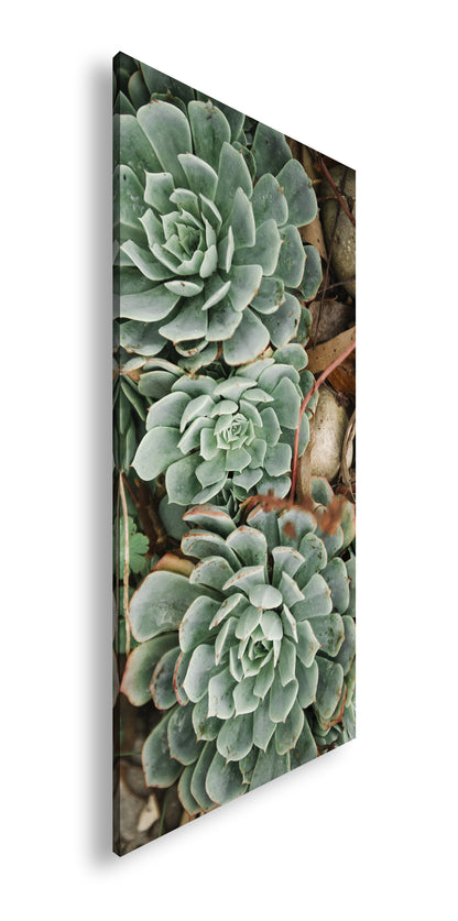 Hauptbild Farbig Panorama