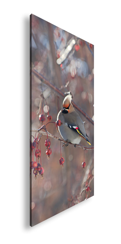 Hauptbild Farbig Panorama