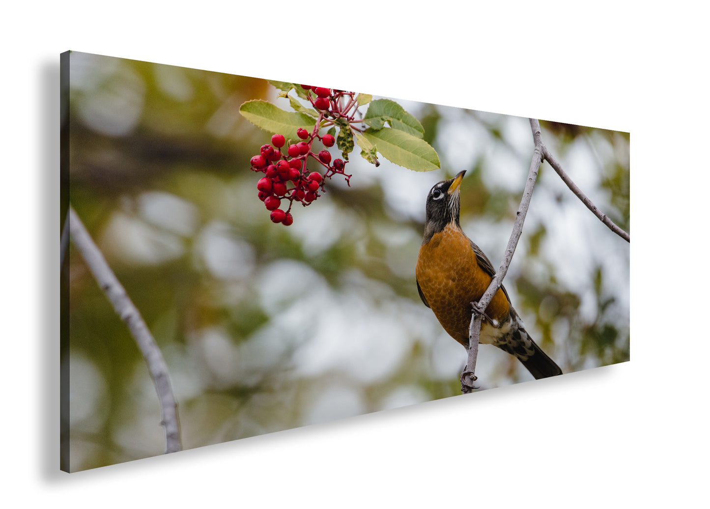 Hauptbild Farbig Panorama