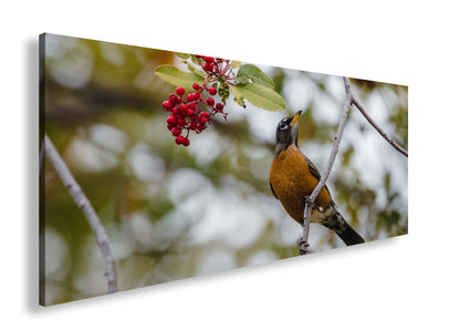 Hauptbild Farbig Panorama