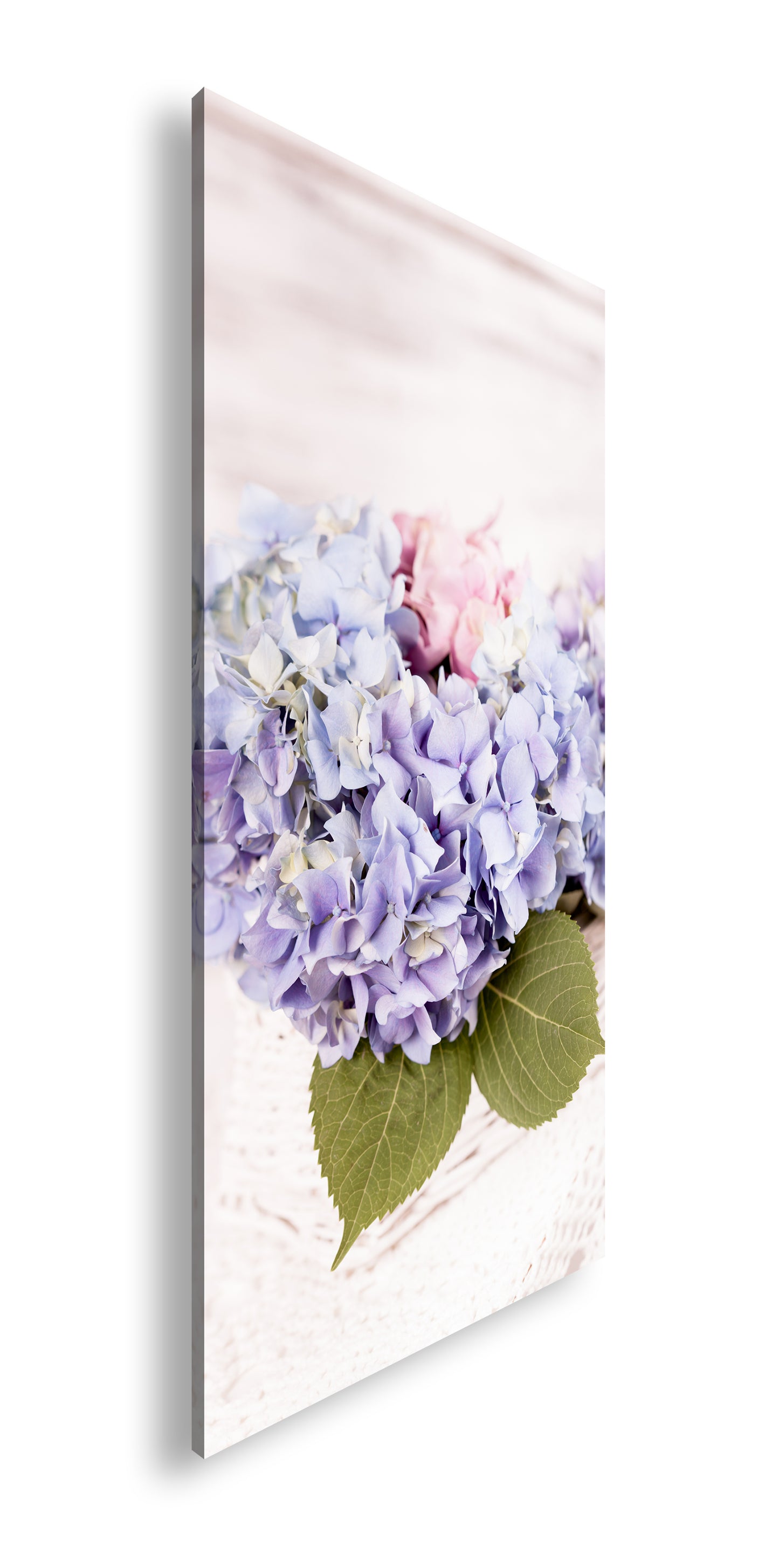 Hauptbild Farbig Panorama