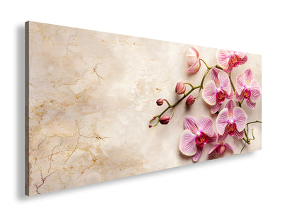 Hauptbild Farbig Panorama