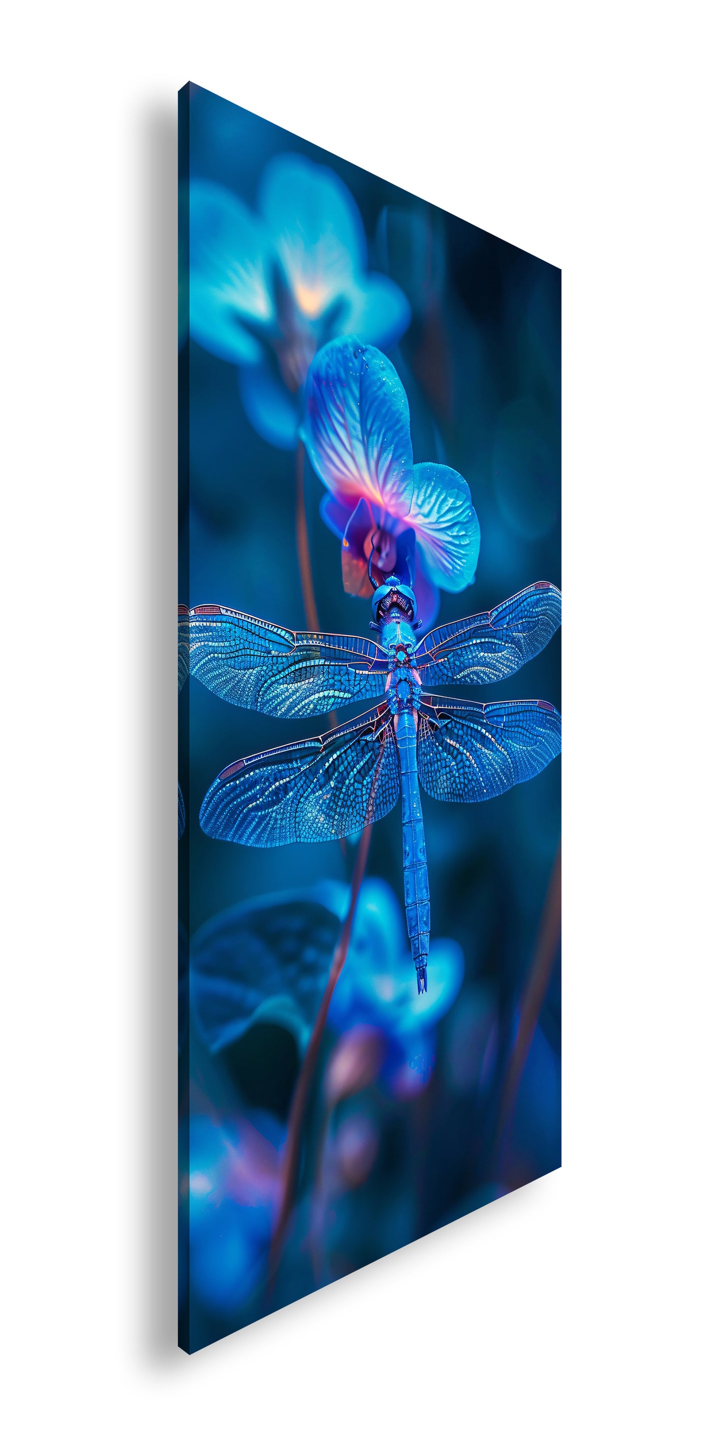 Hauptbild Farbig Panorama