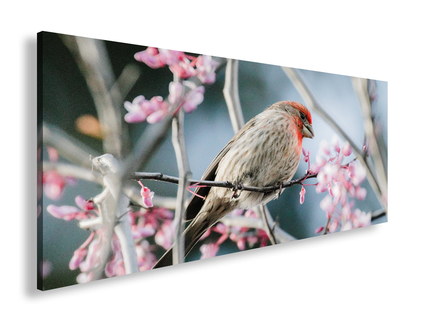 Hauptbild Farbig Panorama