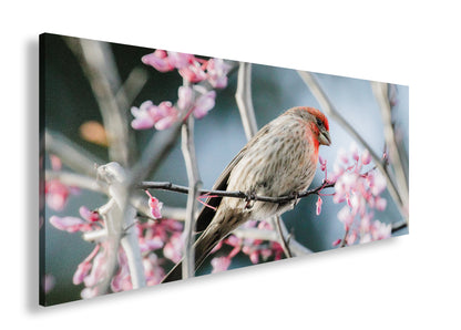 Hauptbild Farbig Panorama