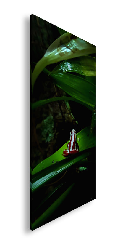 Hauptbild Farbig Panorama