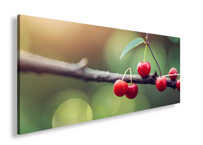 Hauptbild Farbig Panorama