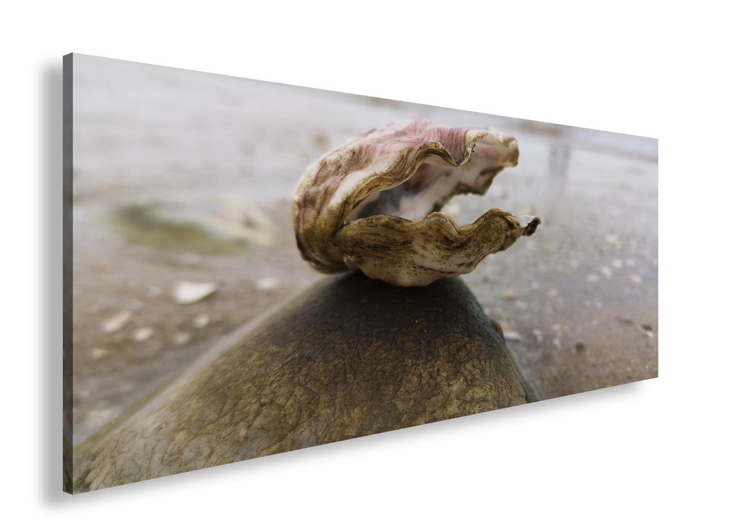 Hauptbild Farbig Panorama