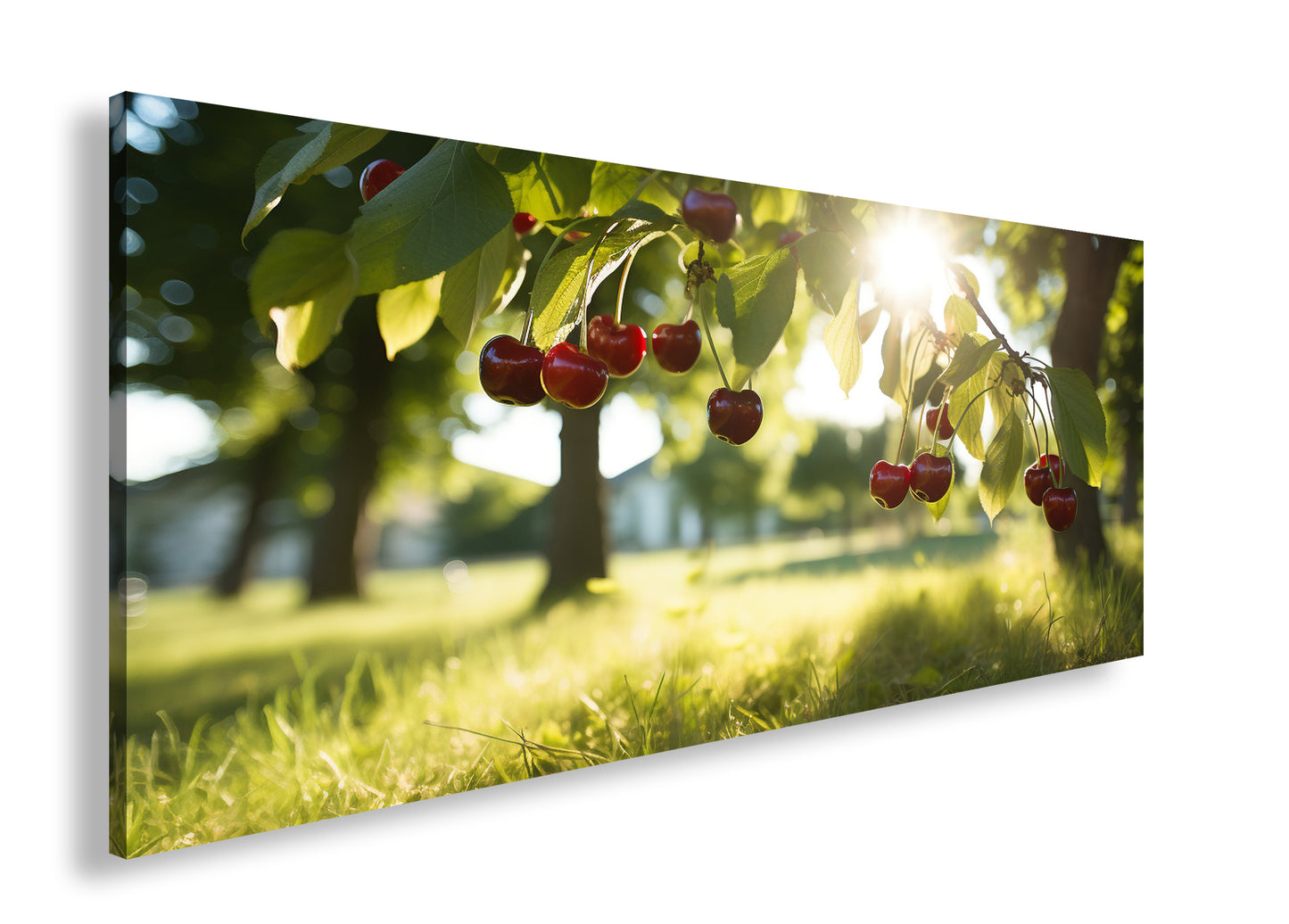 Hauptbild Farbig Panorama