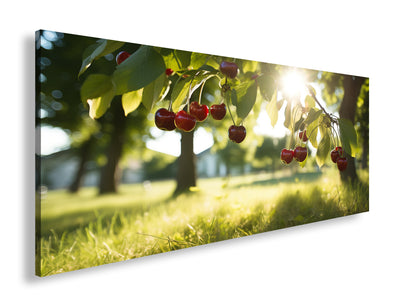 Hauptbild Farbig Panorama