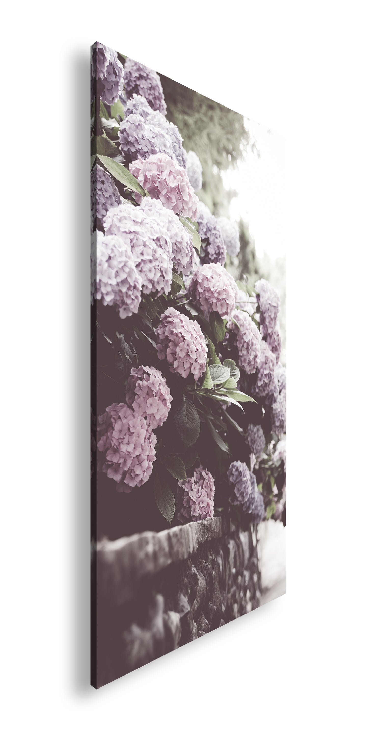 Hauptbild Farbig Panorama