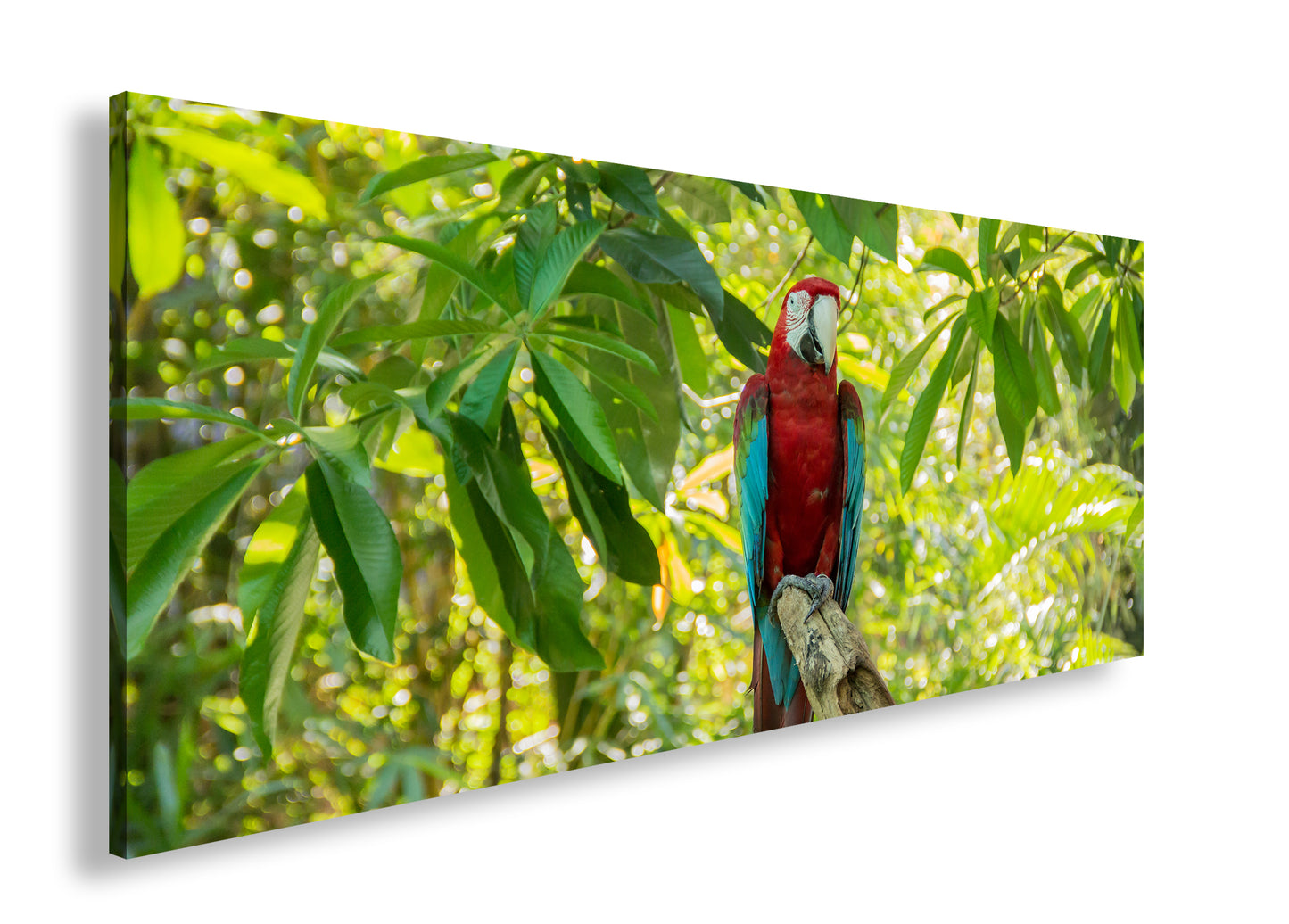 Hauptbild Farbig Panorama