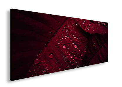 Hauptbild Farbig Panorama