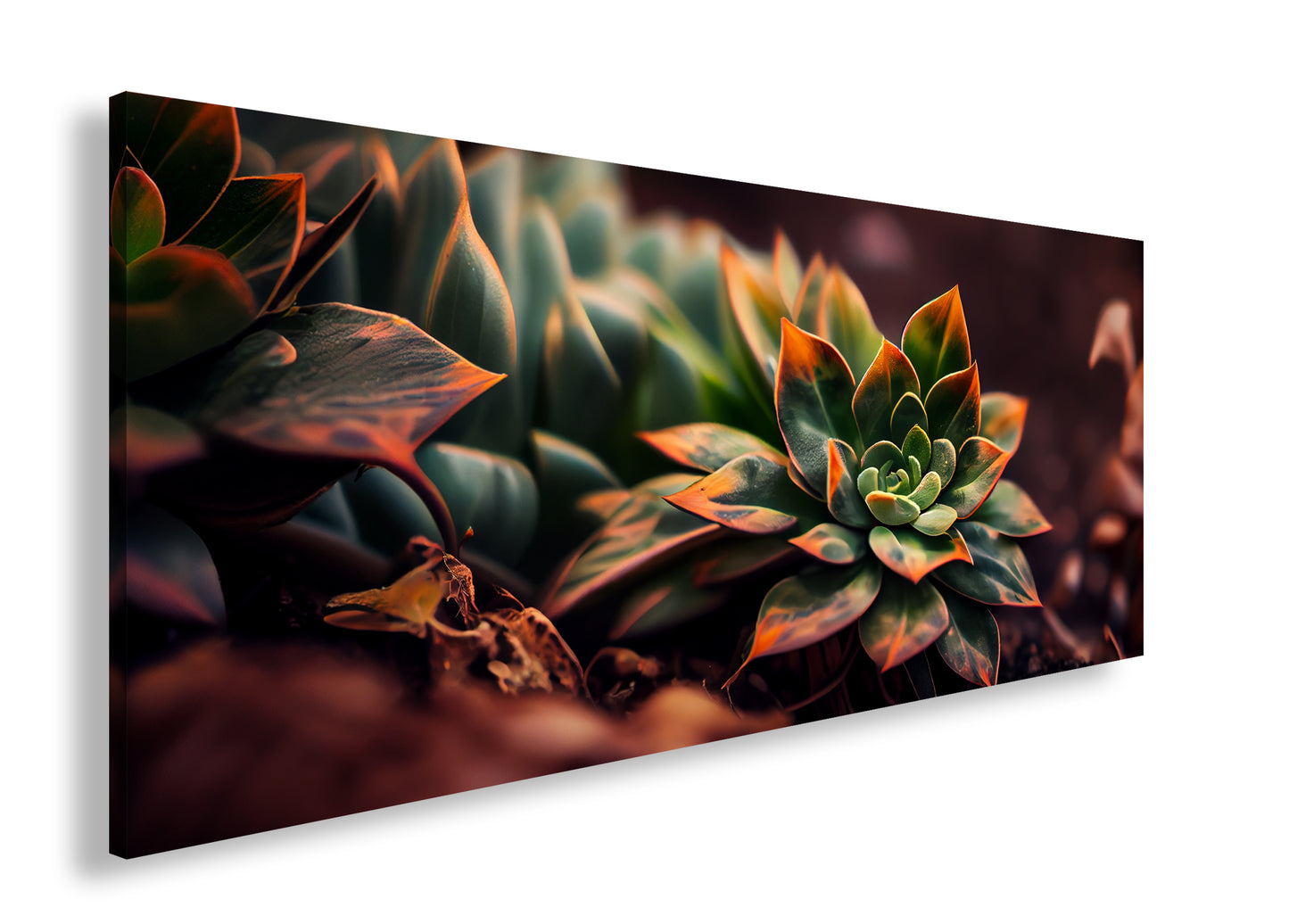 Hauptbild Farbig Panorama