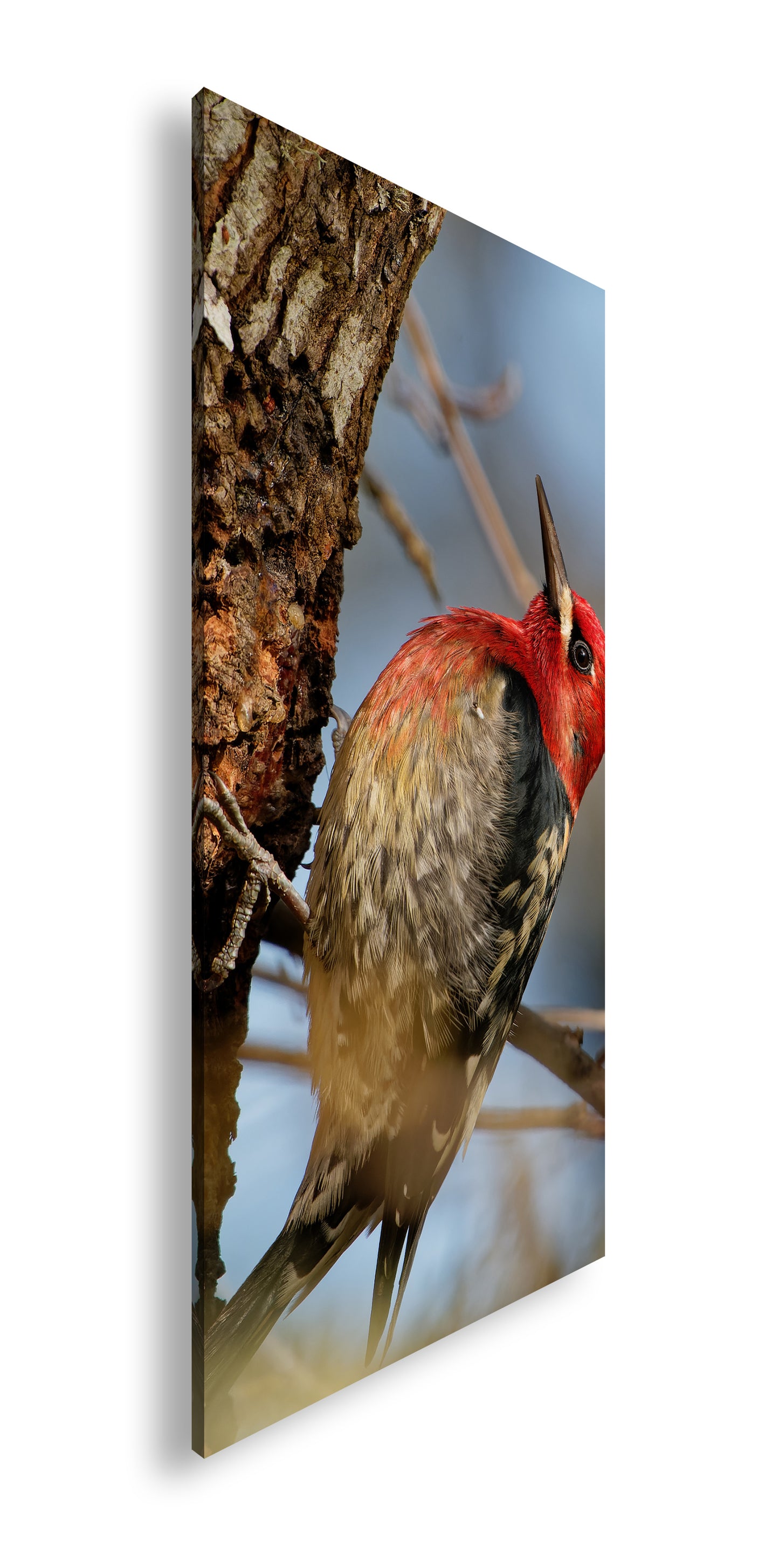 Hauptbild Farbig Panorama