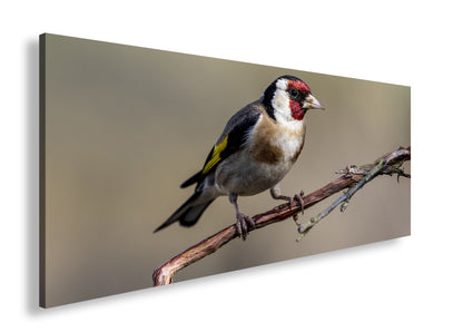 Hauptbild Farbig Panorama