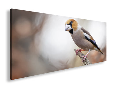 Hauptbild Farbig Panorama