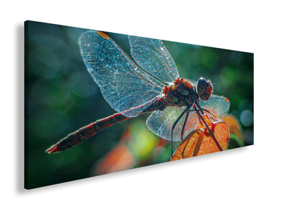 Hauptbild Farbig Panorama