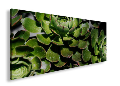 Hauptbild Farbig Panorama