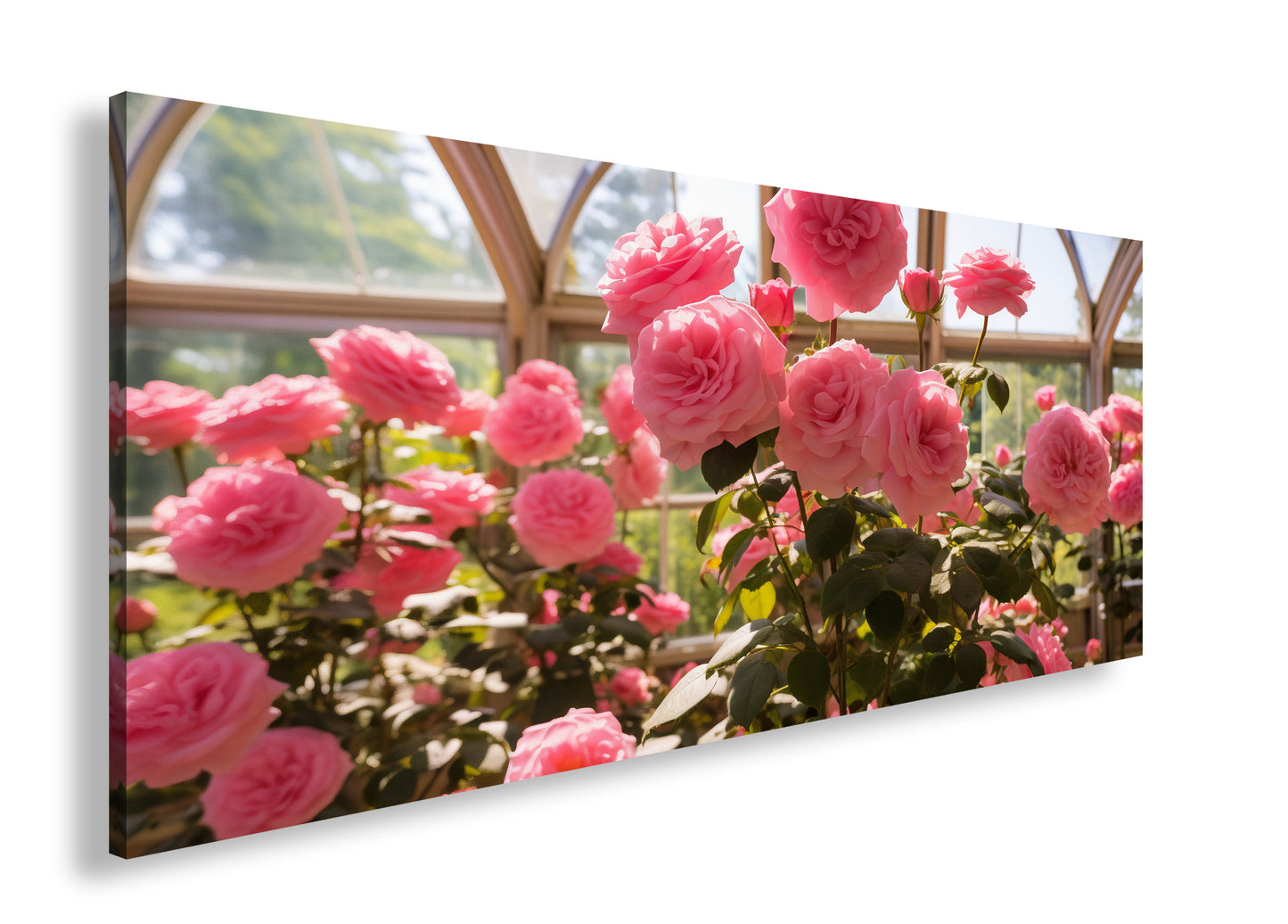 Hauptbild Farbig Panorama