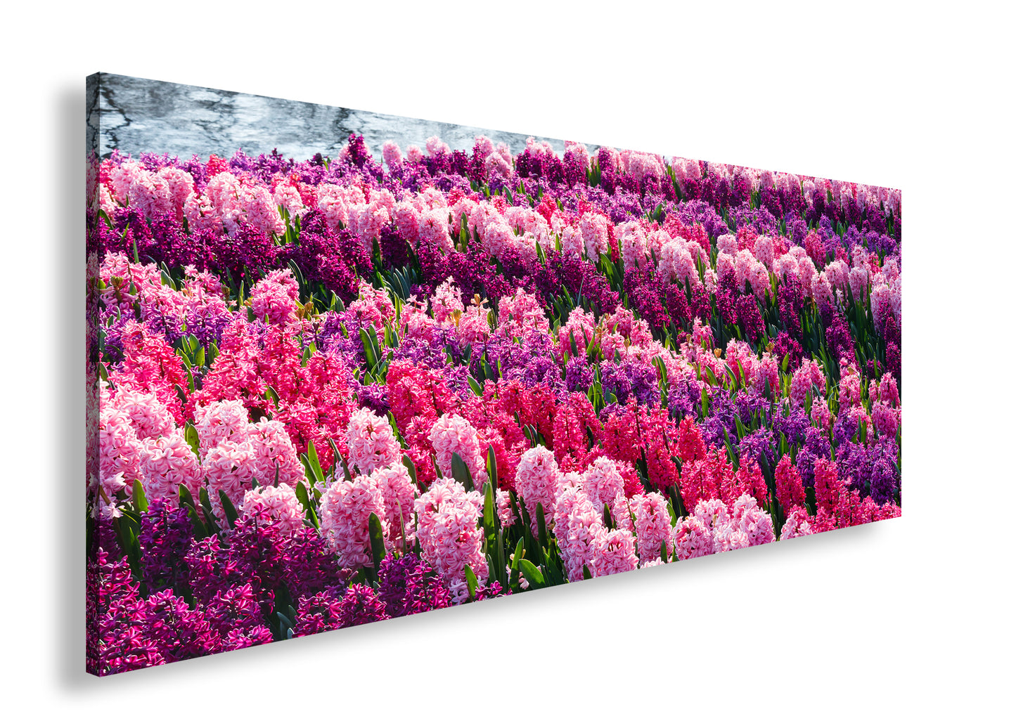 Hauptbild Farbig Panorama