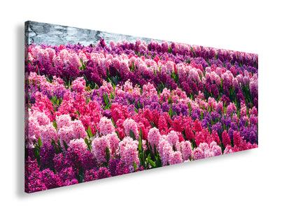 Hauptbild Farbig Panorama