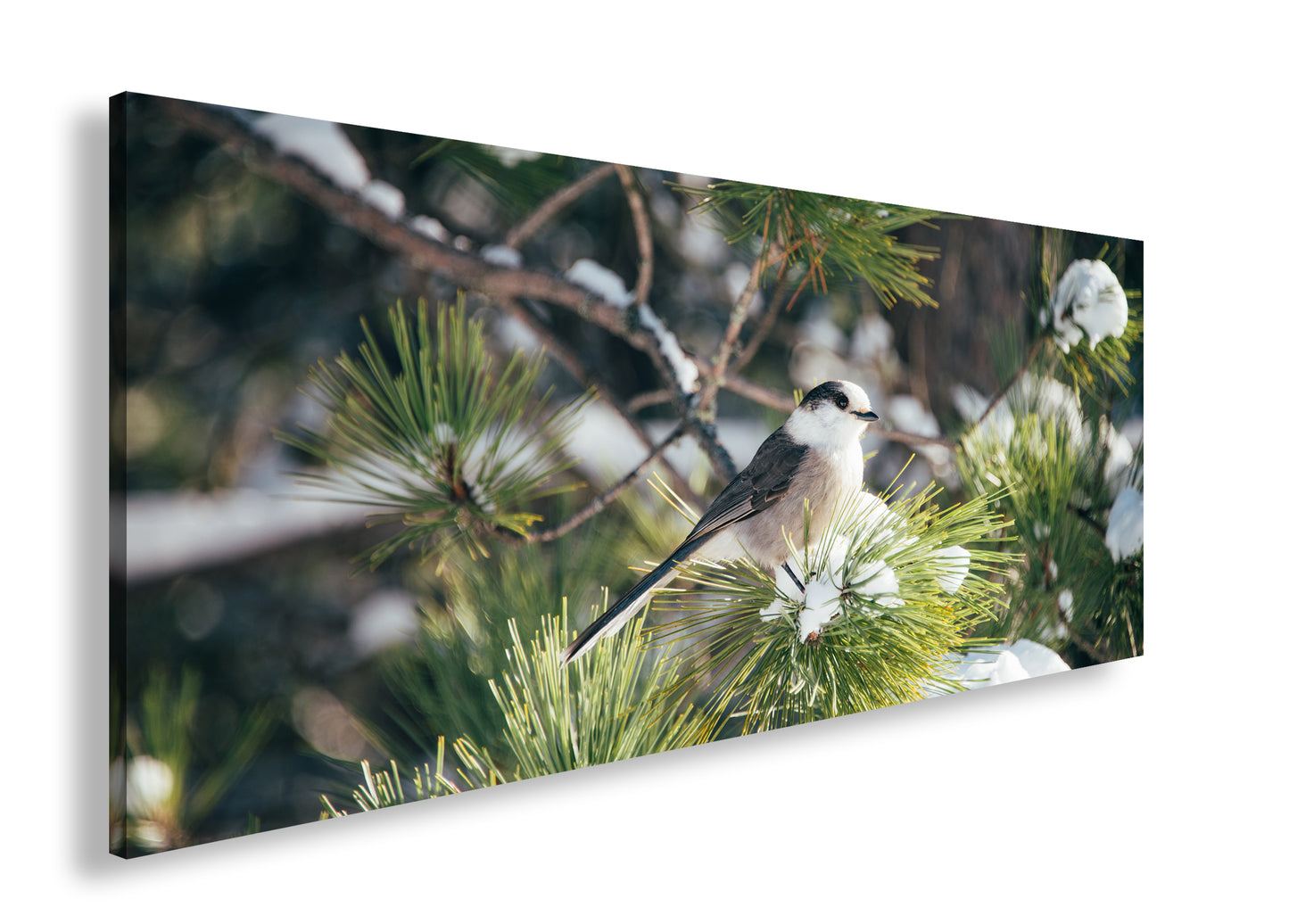 Hauptbild Farbig Panorama