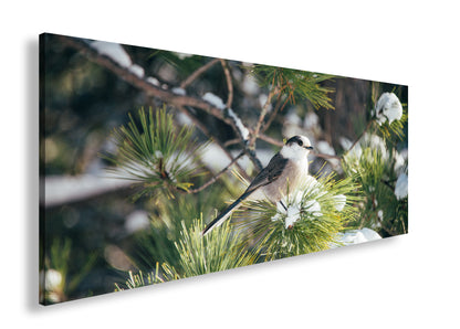 Hauptbild Farbig Panorama