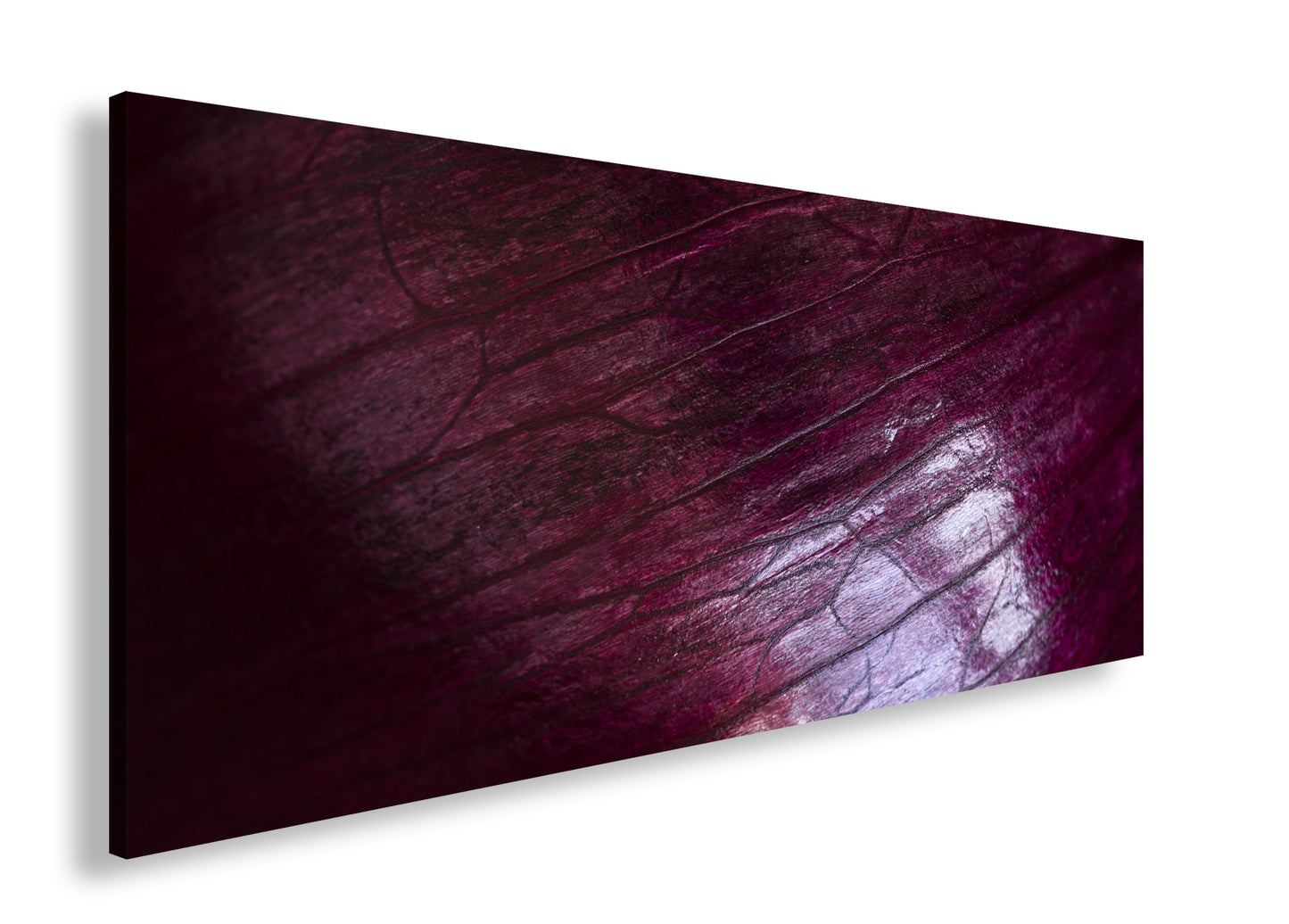 Hauptbild Farbig Panorama