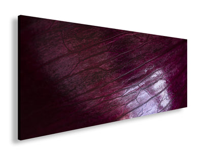 Hauptbild Farbig Panorama